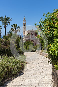 View from a high point of view, over the park with flowering trees, colored flowers, a building mosque, narrow streets, and behi