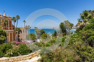 View from a high point of view, over the park with trees, colored flowers, a villa, narrow streets, and behind the trees the turqu