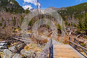 Vysoké Tatry