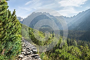 View of High Tatra Mountains from hiking trail