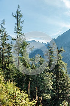 View of High Tatra Mountains from hiking trail.