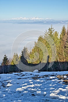 View of the High Tatras mountain ridge from Slubica peak