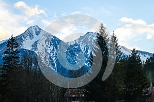 Pohled na Vysoké Tatry z lesa. Vysoké Tatry, Slovensko