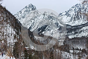 View of the High Tatras mountains.