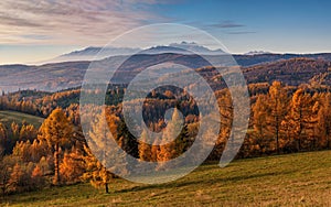 View of the High Tatras at sunset with an orange-colored spruce forest during the autumn sunset.