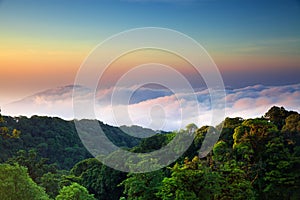 View from the highest mountain in Thailand in Doi Inthanon national park