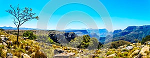 View of the highveld and the Blyde River Canyon along the Panorama Route