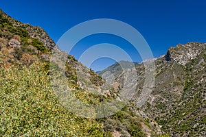 View at Highway 180, Kings Canyon National Park, California, USA