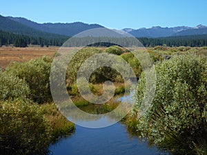 View from hike of Martis Creek Lake, near Truckee