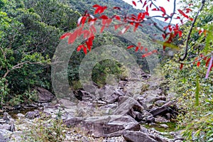 The view of hiking road among Sai Kung East Country Park in Hong Kong