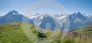 view from hiking trail Grindelwald First to Eiger, Schreckhorn and Wetterhorn mountain