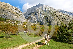 View from hiking trail in Sirente-Velino Regional Park in autumn,  province of L`Aquila, Abruzzo, central Apennines, central Ital
