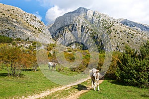 View from hiking trail in Sirente-Velino Regional Park in autumn,  province of L`Aquila, Abruzzo, central Apennines, central Ital photo