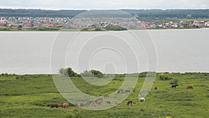 View from the hill to the village, the river and grazing horses.