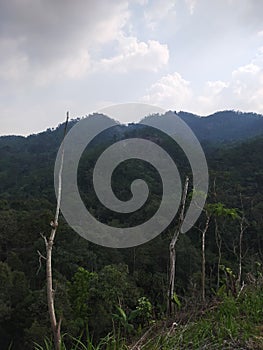 view of the hill where the Indonesian Baduy tribe lives