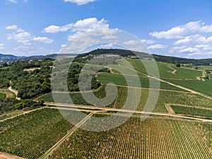 View on hills, houses and green vineyards Cotes de Provence, production of rose wine near Saint-Tropez and Pampelonne beach, Var,