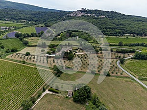 View on hills, houses and green vineyards Cotes de Provence, production of rose wine near Saint-Tropez and Pampelonne beach, Var,