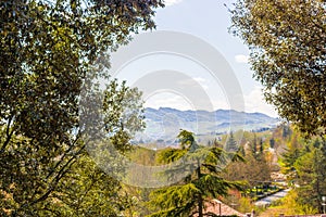 View of hills of Italian countryside framed by tree