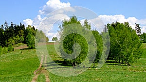 View on hills meadows, village road and single trees near ChabÃ³wka in Poland