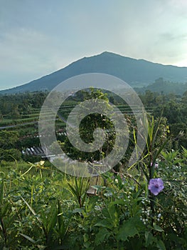 the view of the hills on Mount Merbabu is very beautiful and special