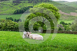 View on the Hills near Edale, Peak District National Park, UK