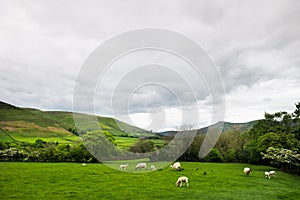 View on the Hills near Edale, Peak District National Park, UK