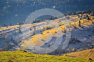 Nice morning spring landscape in the countryside.