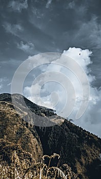 View of hillside in Mt. Mongkrang, Indonesia photo