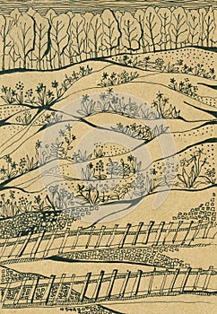 View of the hilly landscape along the railway. Slope with flowers and forest at the top.