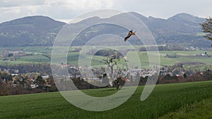 View of a hilly landscape on an April day