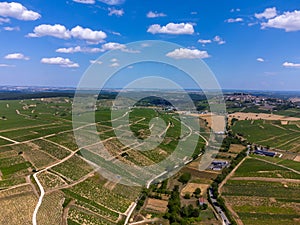 View on hilly Sancerre Chavignol appellation vineyards, Cher department, France, overlooking iver Loire valley, noted for its