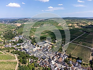 View on hilly Sancerre Chavignol appellation vineyards, Cher department, France, overlooking iver Loire valley, noted for its