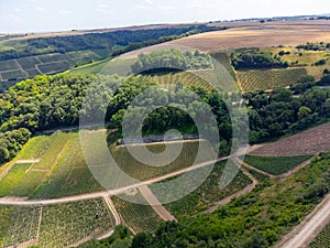 View on hilly Sancerre Chavignol appellation vineyards, Cher department, France, overlooking iver Loire valley, noted for its