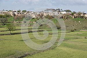 View of a hilly village and fields in punjab
