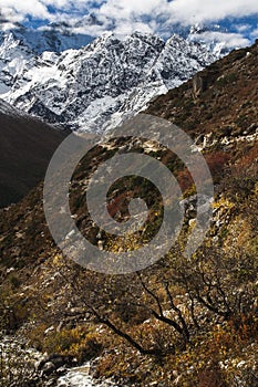 View of the Himalayas from the village of Pangboche