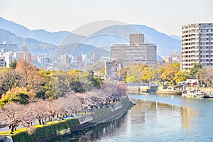 View of Hiroshima City and Atomic Bomb Dome During Cherry Blossom Season