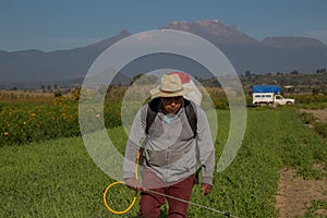 View of a Hispanic man spraying pesticides in the field