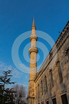 View of the historic Blue Mosque in Istanbul at sunset. Turkey