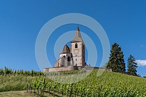 View of the historic church of Saint-Jacques-le-Majeur and vineyards in Hunawihr village