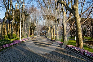 View of historical urban Gulhane Park in the Eminonu district of Istanbul. Topkapi Palace.Turkey.