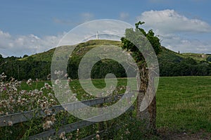 View of The Hoad Monument, Ulverston. Cumbria. UK