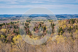 View from Hogback Mountain in Marlboro, Vermont