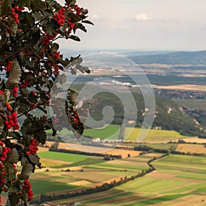 View from Hohe Wand in Lower Austria