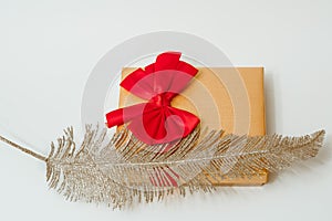 View of Holiday gift box decorated with silver feather