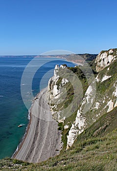 View of the Hooken undercliff on the Beer to Branscombe walk in Devon, England