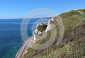 View of the Hooken undercliff on the Beer to Branscombe walk in Devon, England