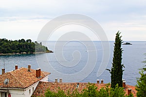 View of the horizon over the Adriatic Sea with the tiled roof of the traditional croatian houses in the old town of Rovinj,