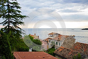 View of the horizon over the Adriatic Sea with the tiled roof of the traditional croatian houses in the old town of Rovinj,