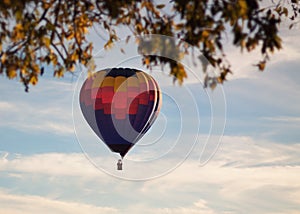 View of Hot Air Balloon from Under a Tree