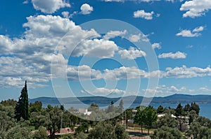 The view from the hotel is of olive trees, the sea, the mountains and the blue sky with clouds. Euboea, Greece.